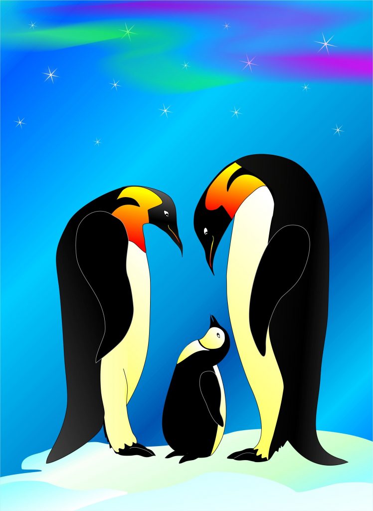 Valentine penguin
